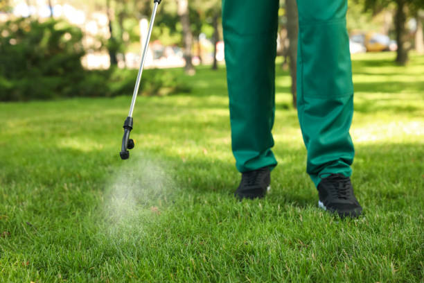 Best Bed Bug Extermination  in Eleanor, WV