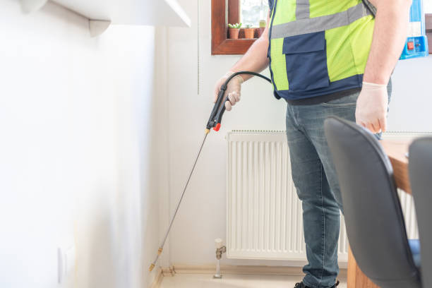 Best Wasp Removal Services  in Eleanor, WV