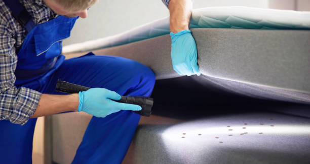 Best Cockroach Control Services  in Eleanor, WV