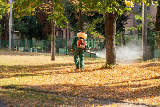 Best Best Pest Control Companies  in Eleanor, WV
