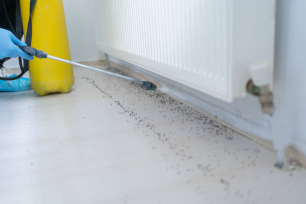 Best Pest Control Cost  in Eleanor, WV